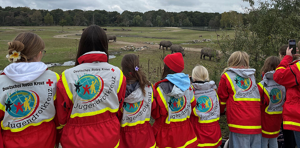 Kinder stehen mit dem Rücken zur Kamera und beobachten Naßhörner in einem Gehege